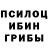 Галлюциногенные грибы Cubensis standofet 2