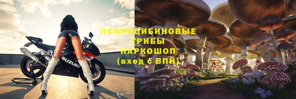 прущая мука Арсеньев